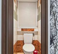 Bathroom corner in a studio apartment with brown tiles and a toilet.