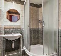 A bathroom with tiles, a shower corner, and a sink in a studio apartment.