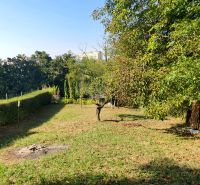 Garden with lawn and trees in Košice on 1st May Street, Krásna.