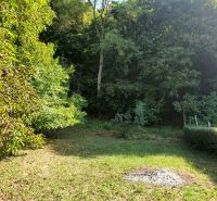The garden on 1st May Street in Košice - Krásna district offers greenery and trees.