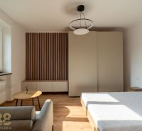 A one-room apartment with a wooden decor floor, a bed, and wardrobes.