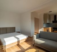 Bed, gray sofa, and kitchen with wooden decor in a studio apartment.