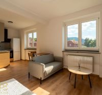 A bright interior of a one-room apartment with a sofa and a kitchen, wooden decor flooring.