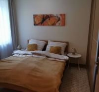 A bedroom in a family house with light walls, a painting, and a wooden bed.
