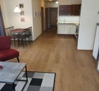 Living room with a kitchenette and wooden decor flooring in a family house.
