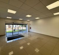 Interior of commercial spaces with tiled flooring, large windows, and a suspended ceiling.
