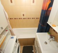 A bathroom in a 2-room apartment with a shower curtain, a washing machine, and a cabinet.