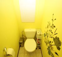 A bathroom in a 2-room apartment with a floral motif on a yellow wall.