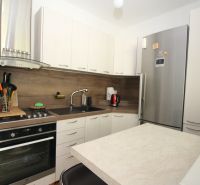 A kitchen in a 2-room apartment with a stainless steel refrigerator and a cooktop with a range hood.