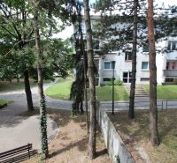 Trees and greenery in front of the apartment building on Talichova in Bratislava - Dúbravka.