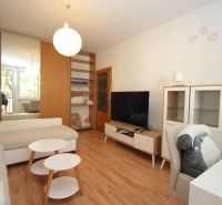 Living room in a 2-room apartment with a sofa, TV, and wooden decor flooring.