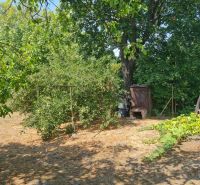 A family house in Komjatice with fruit trees and a wooden shelter on the property.