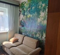 Living room with a sofa and a nature-themed photo wallpaper in a family house.