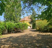 The garden of the family house in Komjatice surrounded by lush greenery and vineyards.