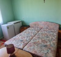 A room in a family house with a bed, a refrigerator, green walls, and a carpet.
