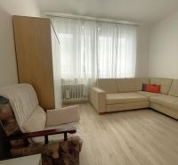 Bright living room in a three-room apartment with a sofa and an armchair, wooden decor flooring.