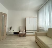 Living room in a 3-room apartment with a wooden decor floor, a sofa, and a wardrobe.