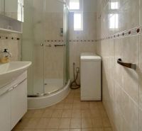 Bathroom with a sink, shower, and washing machine in a 3-room apartment.