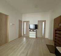 Interior of a 3-room apartment with wood-patterned flooring, a television, and wooden doors.