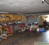 A family house garage with workbenches and tools, a floor with a wooden decor.