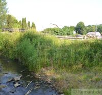 A stream lined with lush greenery near a family house in Varadka on a sunny summer day.