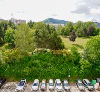 View from a 3-room apartment in Dubnica nad Váhom on Pod Hájom street overlooking greenery and a parking lot.