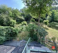 The garden of a family house in Žiar nad Hronom surrounded by dense greenery and trees.