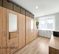 Interior of a family house with a large wardrobe and a floor with a wooden decor.