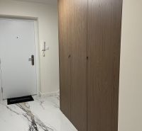 Entrance hallway of a 2-room apartment with tiles and a built-in wardrobe.