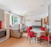 A kitchen with a dining table and a sofa in a studio apartment, floor with wood decor.