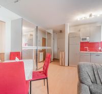 Living space in a one-room apartment with a kitchen, wooden decor flooring, and red elements.