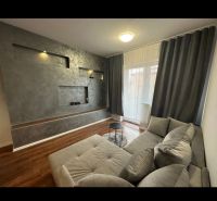 Living room in a two-room apartment with a wooden decor floor and gray furniture.