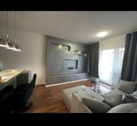 Living room with a gray wall, wood-patterned flooring, and a comfortable sofa in a two-room apartment.