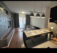 Living room with wood-patterned flooring, gray sofa, and decorative wall in a two-room apartment.