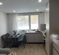 Living room with integrated kitchen and dining set, 3-room apartment, floor with wood decor.