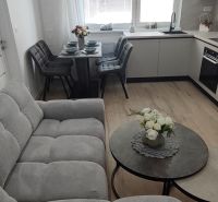 Living room with kitchen and dining area, 3-room apartment with wooden decor flooring.
