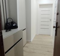 A bright hallway with furniture and doors, a floor with a wooden decor, a 3-room apartment.