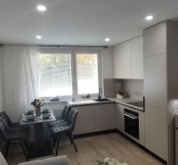 A kitchen with a dining table in a 3-room apartment, floor with wood decor.