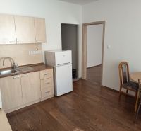 Kitchen unit with refrigerator and table in a studio apartment, floor with wooden decor.