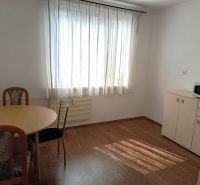 A dining room in a one-room apartment with a wood-patterned floor, table, and furniture.