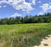 Agricultural and forest land in Zálesie, a green meadow with trees and a blue sky.