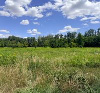 A meadow on agricultural and forest land in Zálesie under a blue sky.