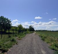 Agricultural and forest land in Zálesie with a country road surrounded by nature and fields.