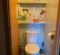A small bathroom in a two-room apartment with a toilet and shelves for toiletries.