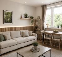 Living room in a 2-room apartment with a comfortable sofa and a dining table.