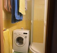 A bathroom with a washing machine and a shower in a 2-room apartment.