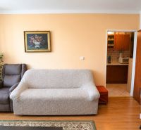 Living room in a studio apartment with a sofa, an armchair, and a wooden decor floor.