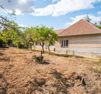 A family house in Kapince with a spacious garden featuring oriental trees and a well.