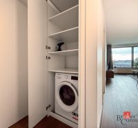 Open storage space with a washing machine and a living room in a 2-room apartment with wood-patterned flooring.