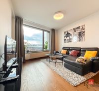 Living room in a two-room apartment with a leather sofa and a wooden decor floor.